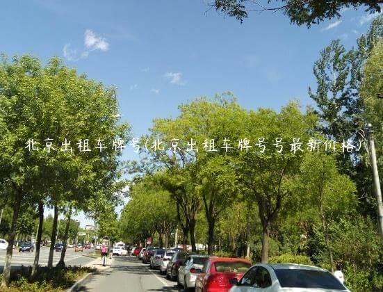 北京出租车牌号(北京出租车牌号号最新价格)