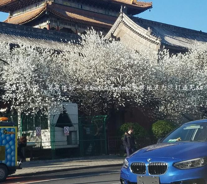 提供各类车型，驾乘体验一流——京牌租赁为您打造完美旅程