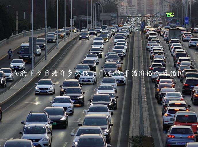 临沧市今日猪价多少钱一斤(临沧市猪价格今日猪价)