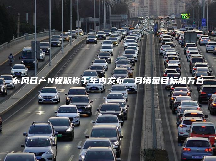 东风日产N程版将于年内发布，月销量目标超万台