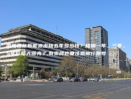 闲置指标新能源出租五年多少钱？租用一年、三年。5年价格大曝光了,有京牌也要注意限行限号