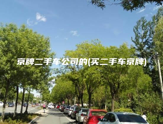 京牌二手车公司的(买二手车京牌)